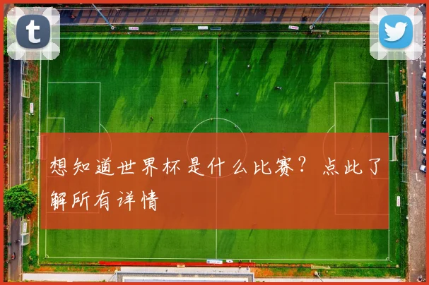 想知道世界杯是什么比赛？点此了解所有详情